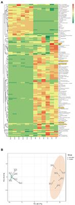 Metabolism of eriocitrin in the gut and its regulation on gut microbiota in mice